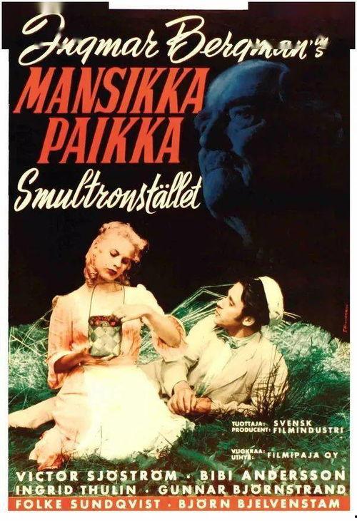 国产电影野草莓完整视频,穿越时光的青春记忆